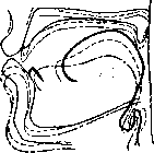 ����� �� '������� ����������': r-1-1