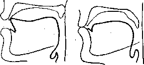 ����� �� '������� ����������': r-11-1