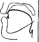 ����� �� '������� ����������': r-13-1