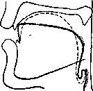 ����� �� '������� ����������': r-15-1