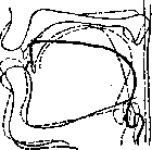 ����� �� '������� ����������': r-3-1