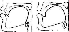 ����� �� '������� ����������': r-9-1